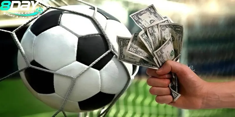 Khám Phá C-Sports 8Day - Nhà Cái Cá Cược Thể Thao Uy Tín 3 Sảnh C-Sports 8day sau lời nhận xét của người chơi