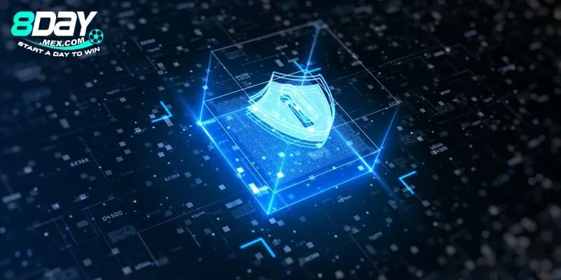 So Sánh Chính Sách Bảo Mật 8day Với Các Nền Tảng Cá Cược Khác