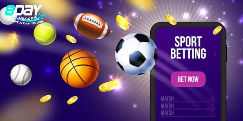 Giao Diện và Trải Nghiệm Người Dùng Thể Thao 8day